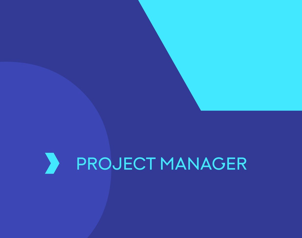 Project Manager