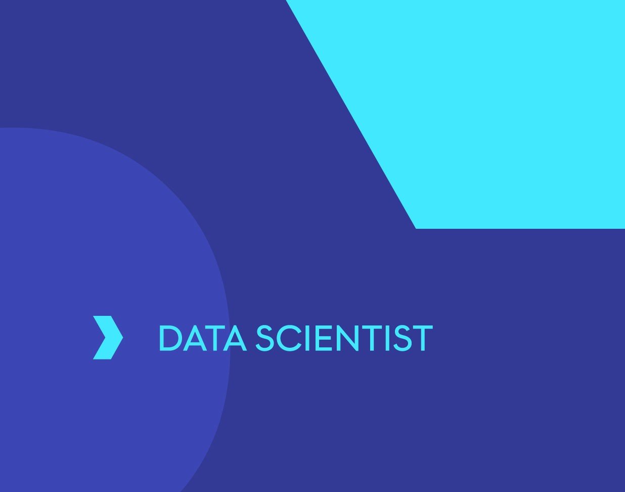 Data Scientist