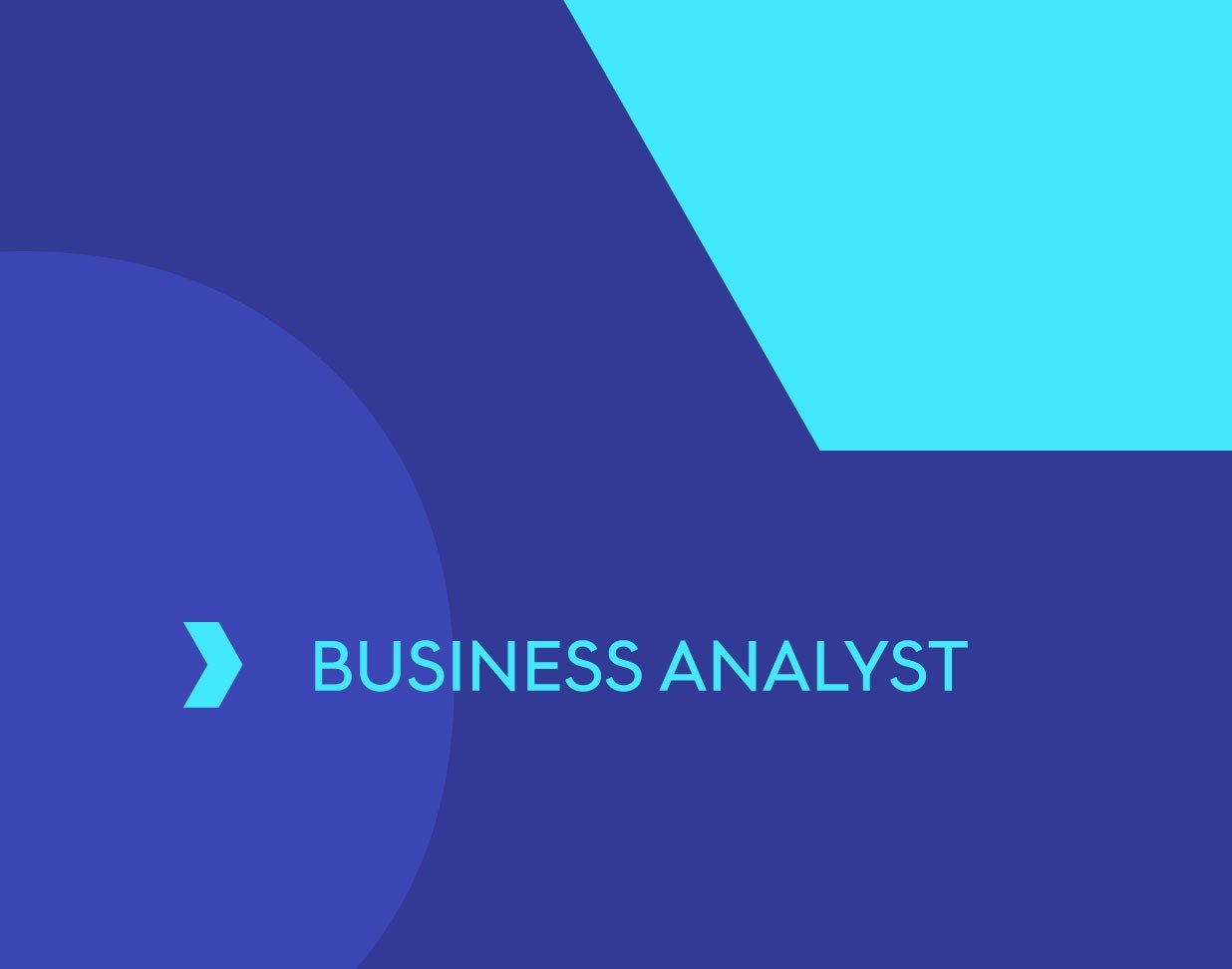 Business Analyst